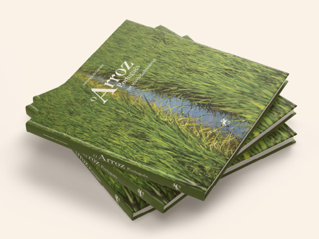 “Portuguese Rice – A gastronomic world”